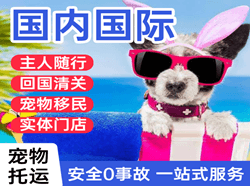 赛乌素航空货运国际宠物托运 【国